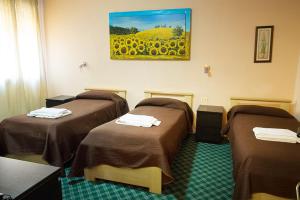 Lázně a/nebo wellness v ubytování Albergo Roma