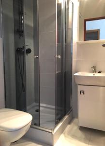 een badkamer met een douche, een toilet en een wastafel bij Willa BALTAZAR in Lubniewice