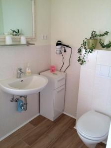 een witte badkamer met een wastafel en een toilet bij Ferienhaus Wille in Bautzen