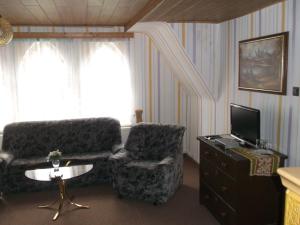 ein Wohnzimmer mit einem Sofa, einem Stuhl und einem TV in der Unterkunft Pension und Ferienwohnung Christine Kilian in Eisenach