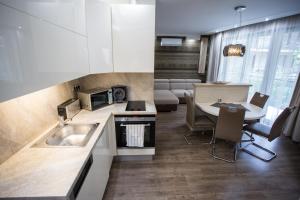 Kuchyňa alebo kuchynka v ubytovaní All Seasons Apartment
