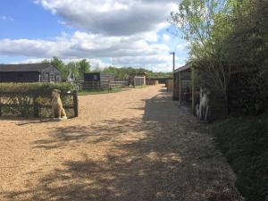 Gallery image of Willow Court Farm Studio East & Petting Farm, 8 mins to Legoland & Windsor, 15 mins to Lapland UK in Windsor