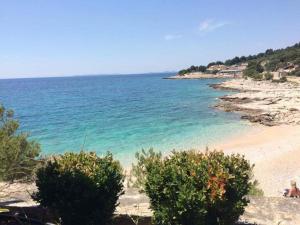 een strand met wat struiken en de oceaan bij Apartmani Vesa in Primošten