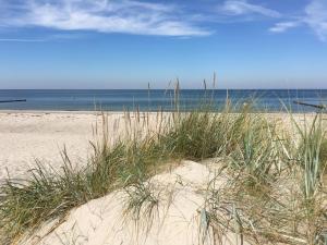 einen Sandstrand mit etwas Gras und dem Meer in der Unterkunft Ferienhaus Buhne V in Graal-Müritz