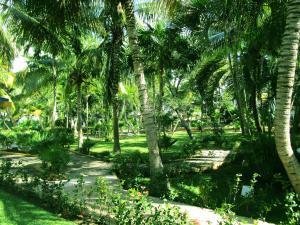 Zahrada ubytování Hotel Maya Caribe Faranda Cancún
