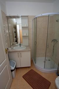 uma casa de banho com um chuveiro e um lavatório. em Sasfészek - Falusi szálláshely em Hortobágy