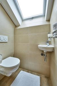 a bathroom with a toilet sink and a skylight at Ferienwohnung Wittmann in Garmisch-Partenkirchen