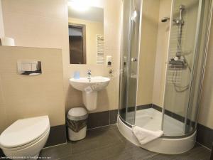 een badkamer met een douche, een toilet en een wastafel bij Czar Roztocza in Zwierzyniec
