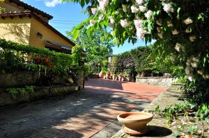 einen Garten mit einem großen Topf auf einem Gehweg in der Unterkunft B&B La Dimora di Alida in Fiesole