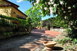 A garden outside B&B La Dimora di Alida