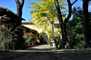 A garden outside B&B La Dimora di Alida
