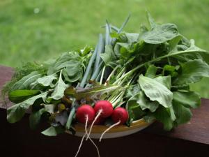 un tazón de verduras sentado en una mesa en Wieża marzeń, en Dąbrowa Grodzieńska-Wieś 13 fotos más
