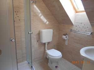a bathroom with a toilet and a sink at Olt-Part Vendégház in Băile Tuşnad +67 photos