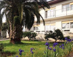 una palma di fronte a un edificio con fiori viola di Apartment Medulin a Medulin
