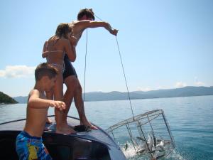 Príroda v okolí apartmánu