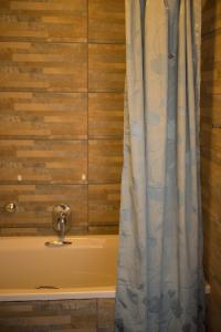 a bathroom with a tub and a shower curtain at Whale View Self Catering Apartment in Hermanus