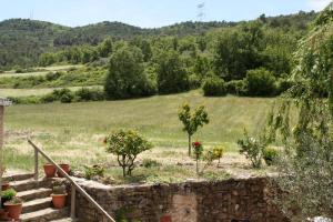 Príroda v okolí of the country house