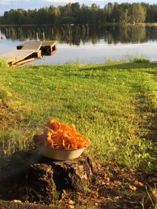 ケリマキにあるLomatila Ollila Bungalowsの湖畔の草の上に座った食器