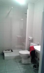 La salle de bains est pourvue de toilettes, d'une douche et d'un lavabo. dans l'établissement Cavalerie, à Colmar