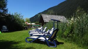 Táj Show holiday homes közelében