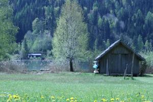 Táj Show holiday homes közelében