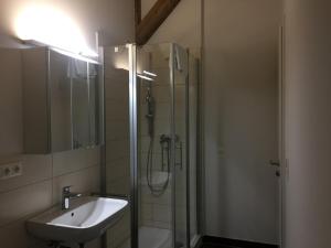 La salle de bains est pourvue d'une douche et d'un lavabo. dans l'établissement Ferienwohnung am Herzogspark, à Ratisbonne