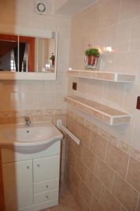 ein Bad mit einem Waschbecken und einem Spiegel in der Unterkunft Apartman Majak Sec in Seč u Nasavrk