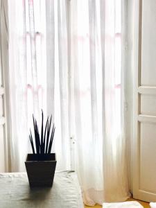 Fotografie z fotogalerie ubytování Casa Bolsa43 v destinaci Sanlúcar de Barrameda