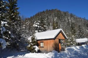 Camping und Chalet Saggraben v zime