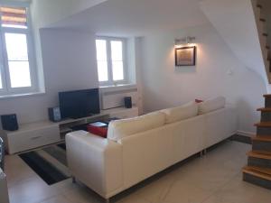 TV/Unterhaltungsangebot in der Unterkunft Apartment Osk