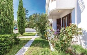 Zahrada ubytování Apartments Jadranovo