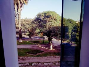 Zahrada ubytování Majestuoso Hospedaje