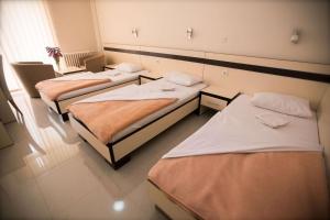 Postel nebo postele na pokoji v ubytování Hotel Zelengora