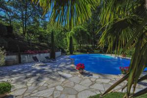 - une piscine avec 2 chaises et un palmier dans l'établissement Villa Ric, à Saint-Céré