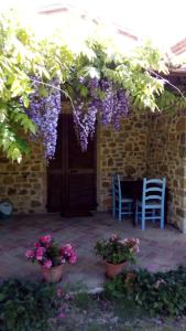 Vonkajšia záhrada v ubytovaní Agriturismo La Chiocciola