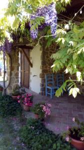 Vonkajšia záhrada v ubytovaní Agriturismo La Chiocciola