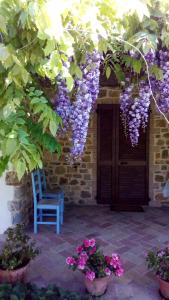 Vonkajšia záhrada v ubytovaní Agriturismo La Chiocciola