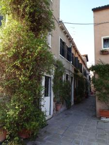an ivy covered alley with a building at Artist House in Venice