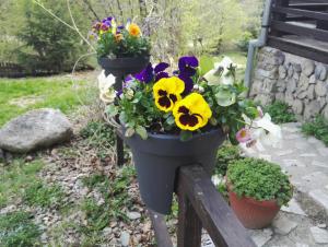 two flower pots on a fence with flowers in them at Cabana La noi in Râşnov