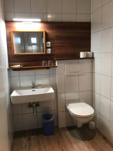 
a bathroom with a toilet, sink, and mirror at Josepha Hirsch Gästehaus in Aschach an der Donau
