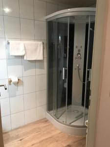 
a bathroom with a shower and a sink at Josepha Hirsch Gästehaus in Aschach an der Donau
