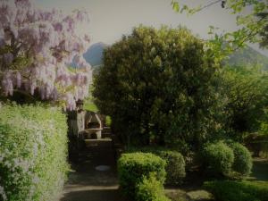 A garden outside Casa Gibiseo