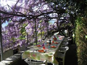 A garden outside Casa Gibiseo