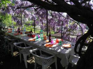 A garden outside Casa Gibiseo