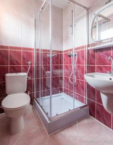 a bathroom with a shower and a toilet and a sink at Dom Gościnny Marta in Krynica Morska