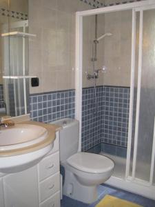 ein Bad mit einem WC, einem Waschbecken und einer Dusche in der Unterkunft Bungalows Peikert - 40a in Sagunt