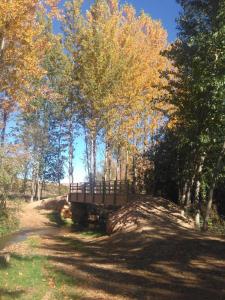 un puente sobre un camino de tierra en un bosque en Valvanera 30 en Berceo