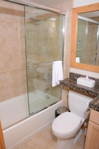 a bathroom with a toilet, sink, and shower at Northstar California Resort in Truckee