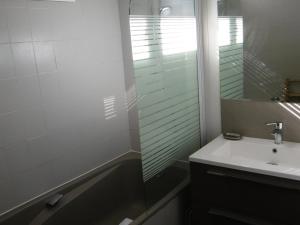 ein Bad mit einem Waschbecken und einer Dusche mit einem Spiegel in der Unterkunft Domaine des Aubuis in Chinon