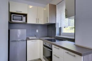 Kuchyň nebo kuchyňský kout v ubytování Apartments Kralj